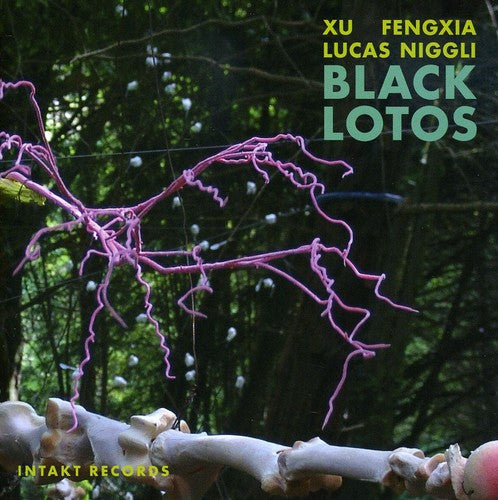 Xu Fengxia - Black Lotos [Import]