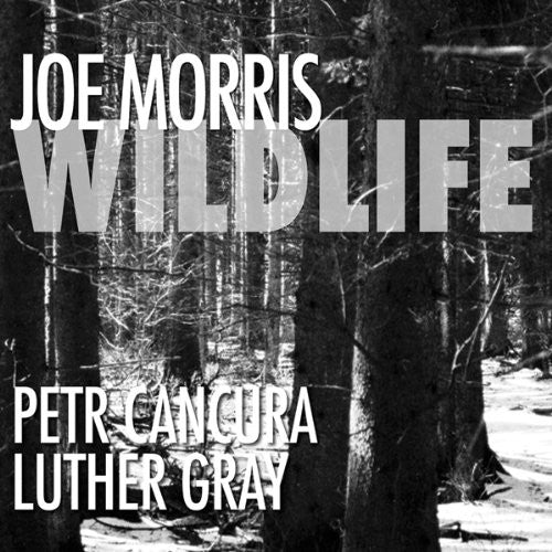 Joe Morris Trio (Guitar) - Wildlife [CD]