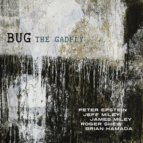 Epstein/Shepik/Kilmer - The Gadfly Music CD
