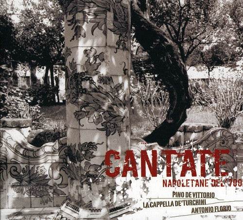 Pino De Vittorio - Cantate Napoletane Del '700-Mu [CD]