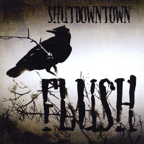 Shut Down Town - Flush Music CD