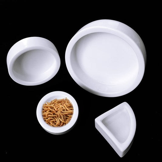 Escape-Proof Glazed Ceramic Live Feeder Dish