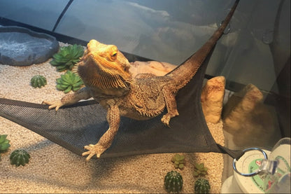 2-Pack Reptile Mesh Lounger Hammock Set