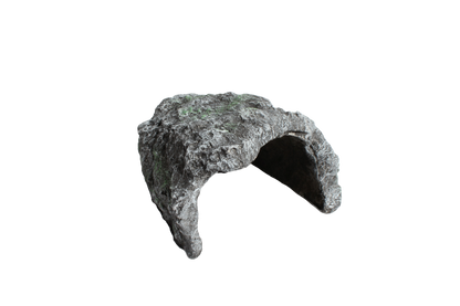 Naturalistic Rock Basking Cave & Hide