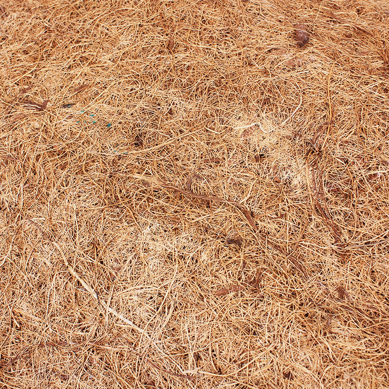 Natural Coco Fiber Terrarium Mat & Substrate Liner
