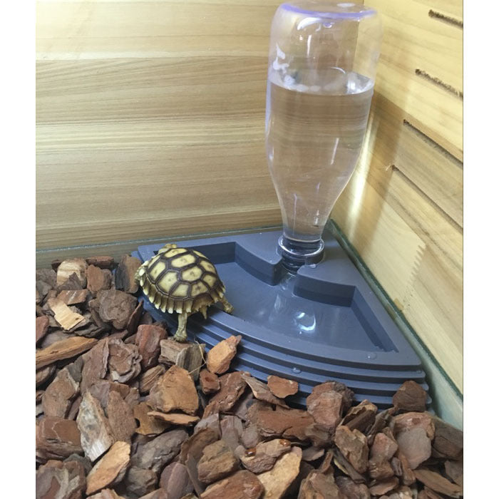 Space-Saving Corner Reptile Water Dispenser & Step Ramp