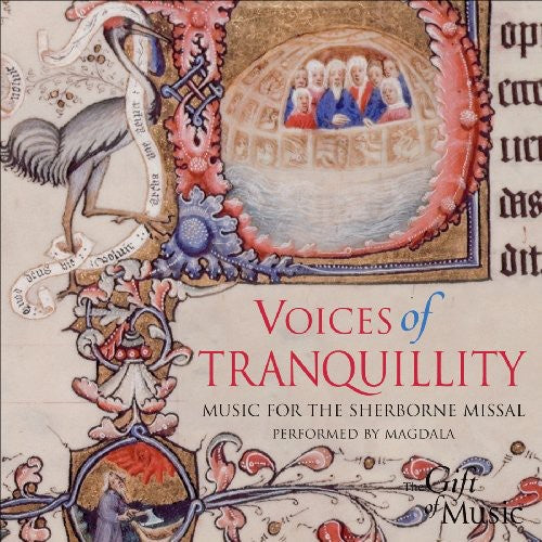 David Skinner - Voices of Tranquillity [CD]