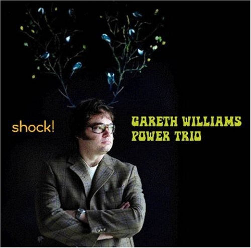 Gareth Williams Power Trio - Shock: Gareth Williams Power Trio Music CD