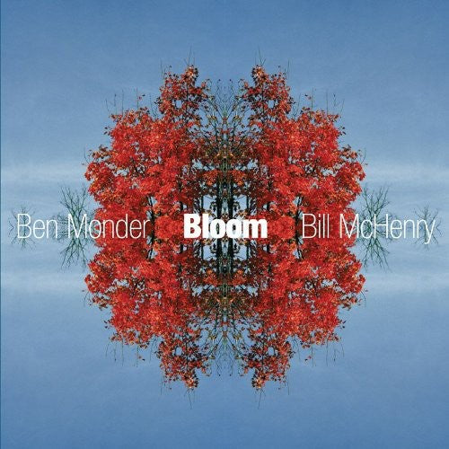 Ben Monder Trio - Bloom [CD]