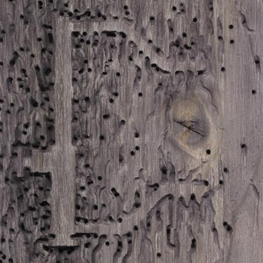 Dj Signify - Sleep No More [CD]