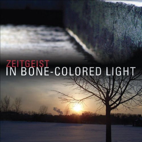 Zeitgeist New Music Ensemble - In Bone-Colored Light [CD]