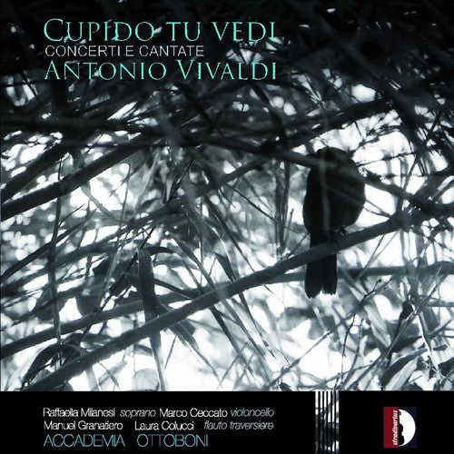 Laura Colucci - Cupido Tu Vedi [CD]