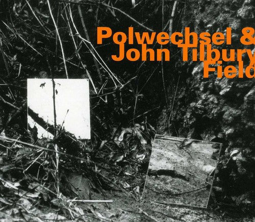 Polwechsel & John Tilbury - Field [Import]