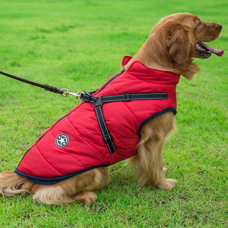 Dog Clothes Chest Back Integrated Cotton