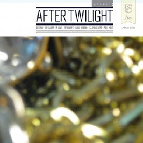 After Twilight / Various - After Twilight [CD]
