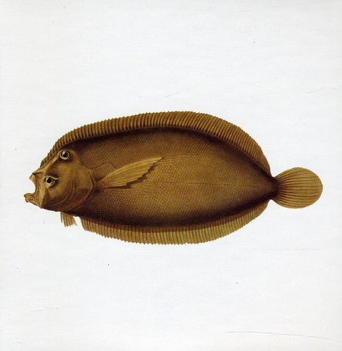Blue Water White Death - Blue Water White Death - Music CD