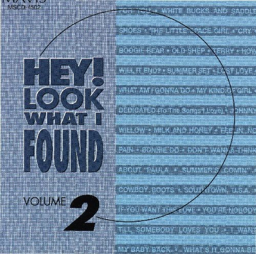 Hey Look What I Found - Hey Look What I Found 2 / Various [CD]