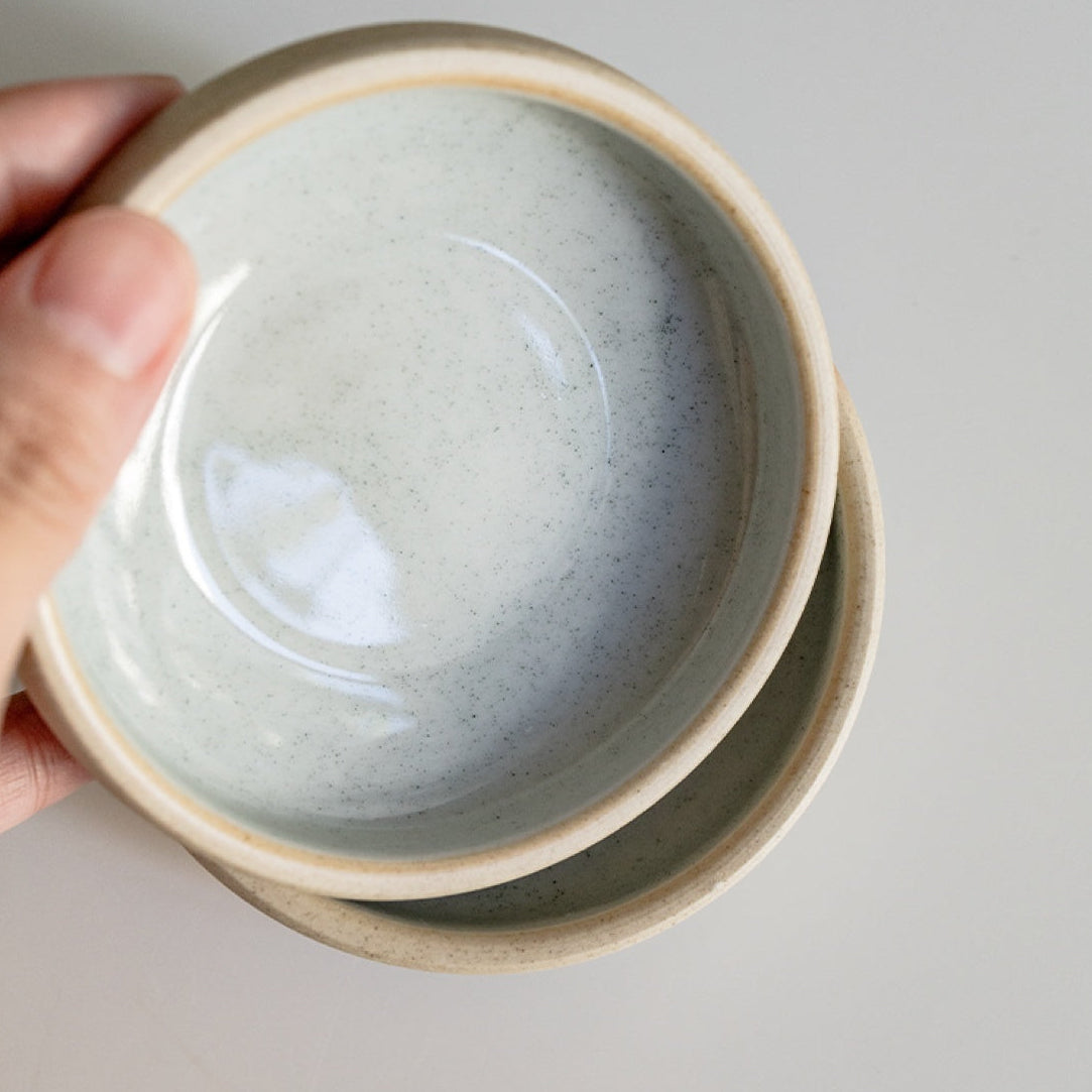 Earthy Oblique Ceramic Reptile Dish