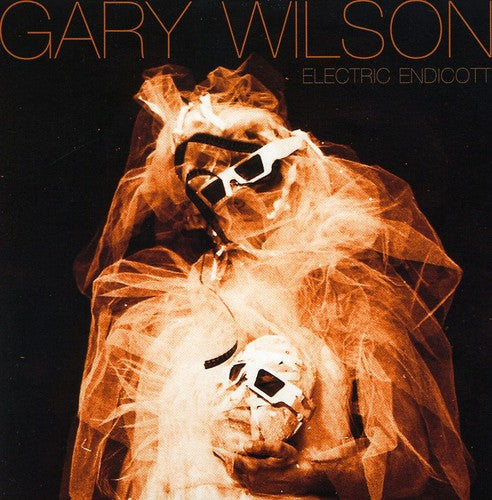 Gary Wilson - Electric Endicott Music CD