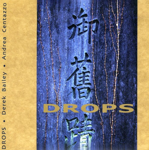 Derek Bailey & Andrea Centazzo - Drops [CD]