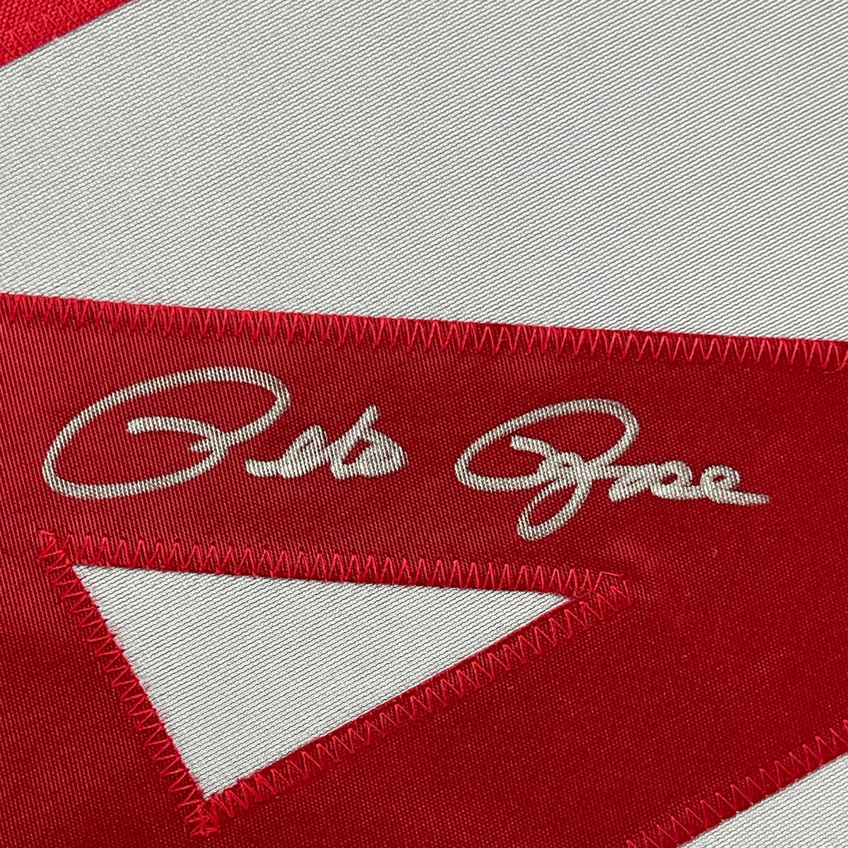 Framed Autographed/Signed Pete Rose 35x39 Cincinnati Grey Baseball Jersey JSA COA