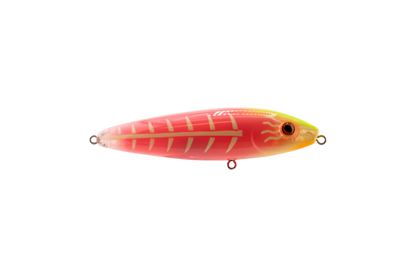 Gatto Loco Catfish Rig