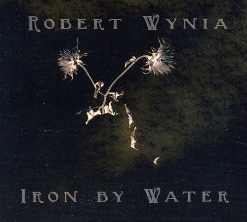 Robert Wynia - Iron By Water Music CD