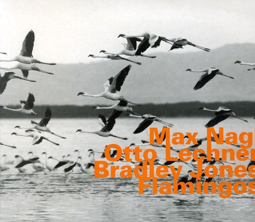 Max Nagl - Flamingos [Import]