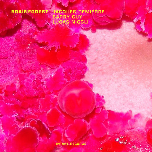 Barry Guy - Brainforest [Import]