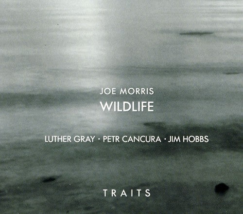 Joe Morris /Wildlife - Traits [CD]