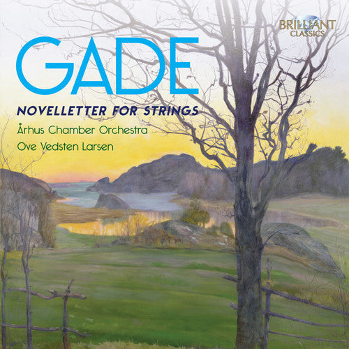 Arhus Chamber Orchestra - Novelletter for Strings Music CD
