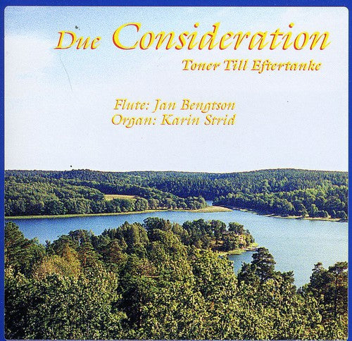 Karin Strid - Due Consideration / Toner Till Eftertanke [CD]