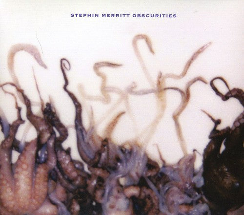 Stephin Merritt - Obscurities Music CD