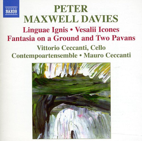 Vittorio Ceccanti - Linguae Ignis / Vesalii Icones / Fantasia Music CD