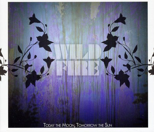 Today the Moon, Tomorrow the Sun - Wildfire Music CD