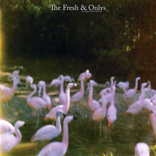 Fresh & Onlys - August in My Mind [LP] Vinyl Record