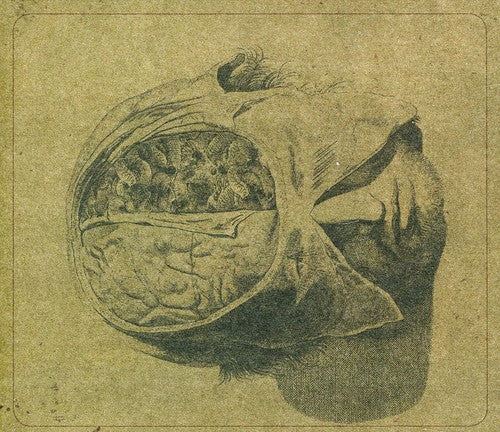 Farsot - Insects Music CD