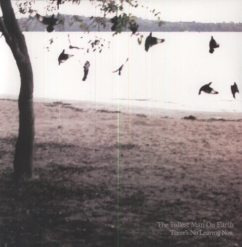Tallest Man On Earth - There's No Leaving Now - Vinyl Record