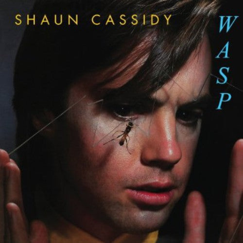 Shaun Cassidy - Wasp [Import]