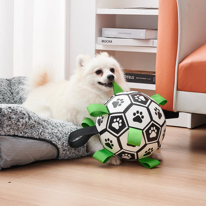 Interactive Football Ball Dog Toy