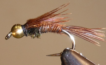 Pheasant Tail