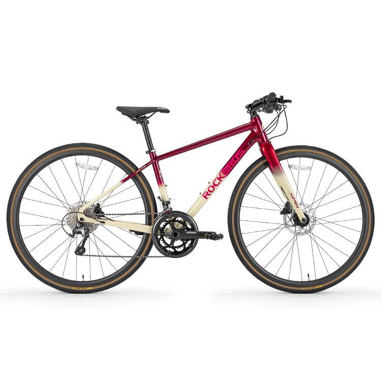 SPIN-P2M Carbon Fiber Fork Aluminum Frame Road Bike