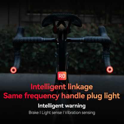 R0 Tail Light Brake sensor USB Handle Plug Smart Synchronization