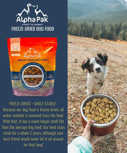 PREMIUM RAW FREEZE DRIED DOG FOOD BEEF
