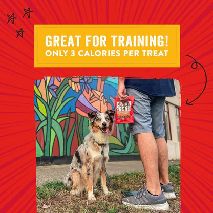 Training Dog Treats - Crav'N Bac'N Soft Bacon & Chicken Bites - Premium USA Made - Low Calorie Rewards - 8.25Oz