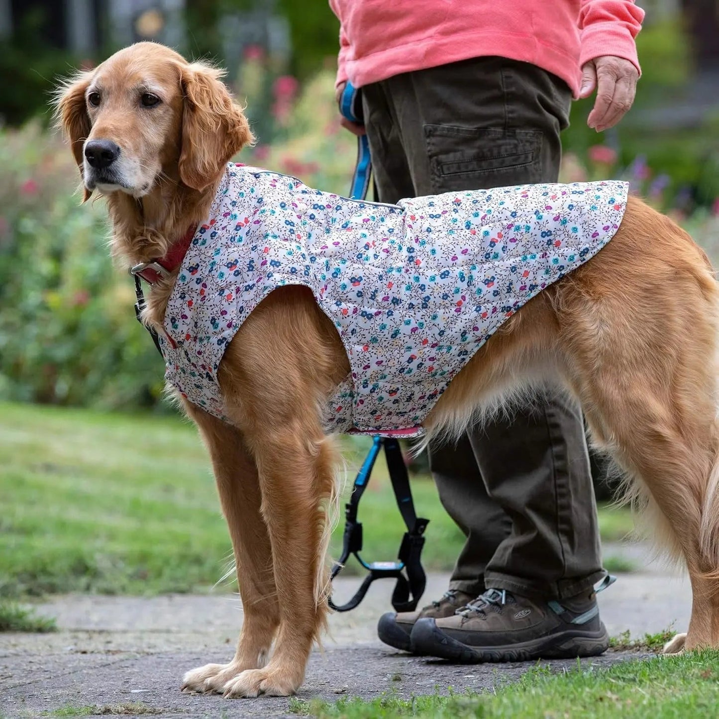 Dog Jacket, Reversible Winter Jacket for Dogs, Pet Coat for Hiking, Water Resistant, Reflective, Lightweight, Wear with Harness, Athletic, Loft Jacket (Liberty Floral, S), Floral/Magenta