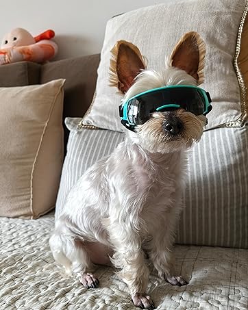 Dog goggle space style for Small Dog