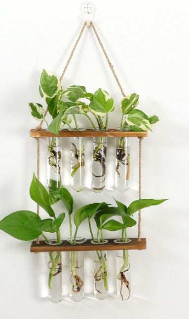Wall-Hanging Test Tube Plant Propagation Station