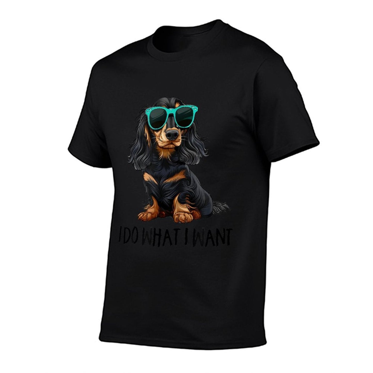 Funny Do What I Want Black Long Haired Dachshund Lover T-Shirt