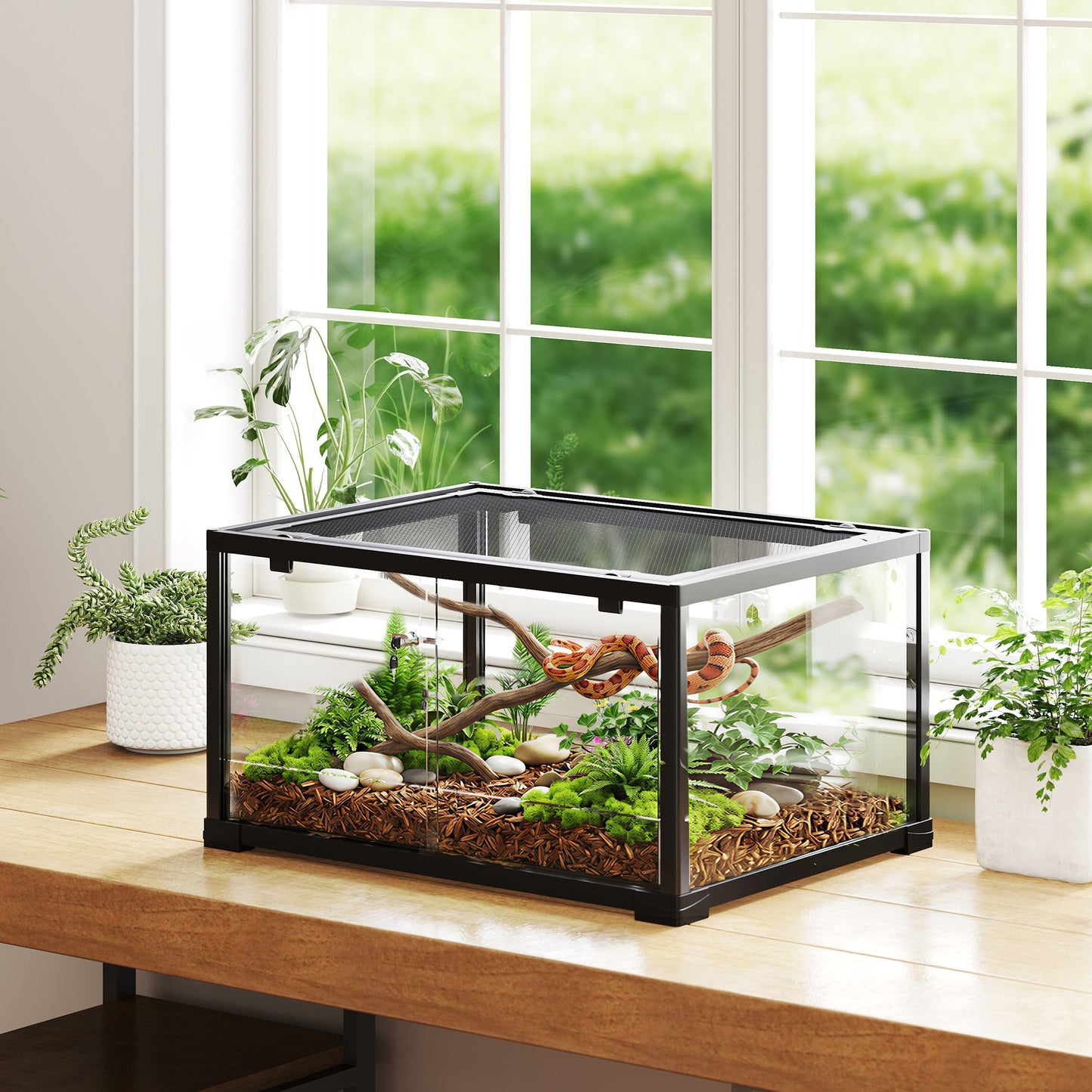 86.3L (22.8 Gallon) Glass Vivarium